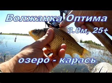 Ловля карася на пикер "Волжанка Оптима" 3.0м 25+. - YouTube