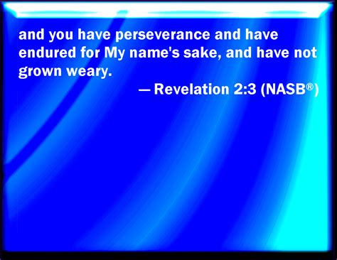 Revelation 23 And Have Borne And Have Patience And For My Names