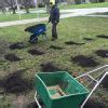 Home And Garden Top Dressing Spreading Compost