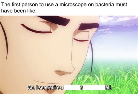 Mitochondria : r/memes