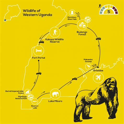 Wildlife Safari | Wildlife of Western Uganda Safari - Yellow Wood ...