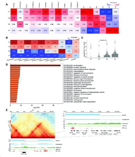 Compartmental States Show Distinct Epigenomic Features A Heatmap