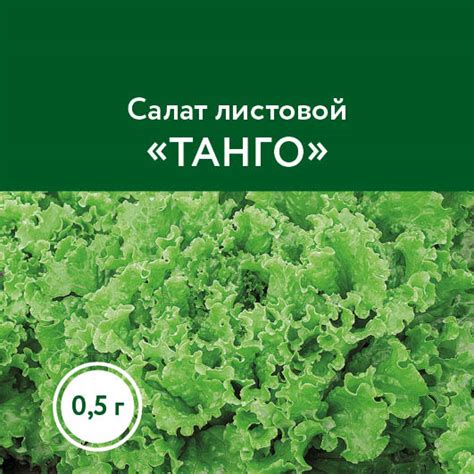 Салат – Овощи – Семена – купить саженцы оптом и в розницу – питомник ...