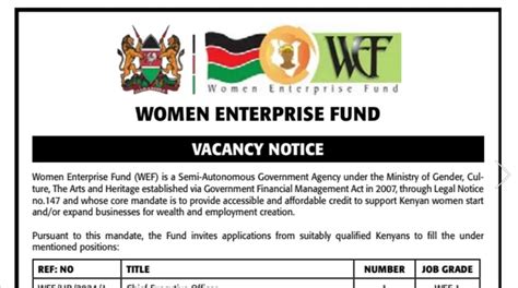 9 Posts Women Enterprise Fund Jobs August 2024