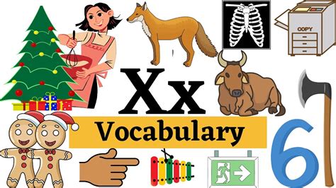 X Vocabulary Words Words That Start With X Most Common Vocabulary