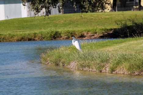 Falfurrias – the Land of Heart’s Delight - Texas Hotel and Lodging