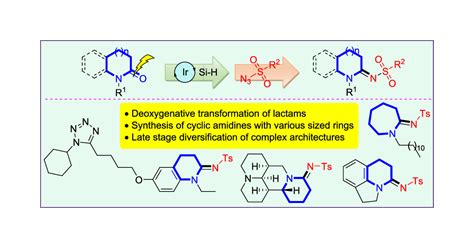 Synthesis Of Cyclic Amidines By Iridium Catalyzed Deoxygenative