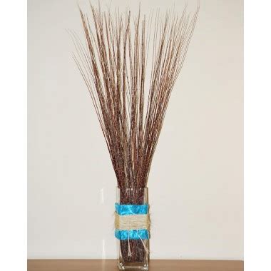 Dried Pussy Willow Branches