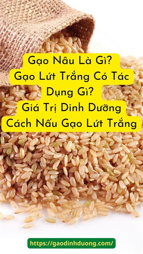 Gạo Lứt Trắng Có Tác Dụng Gì Khám Phá Lợi Ích Sức Khỏe Đáng Kinh Ngạc