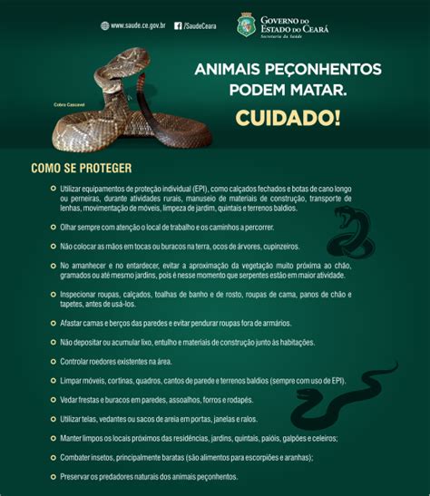 Saúde aposta na comunicação para alertar sobre animais peçonhentos