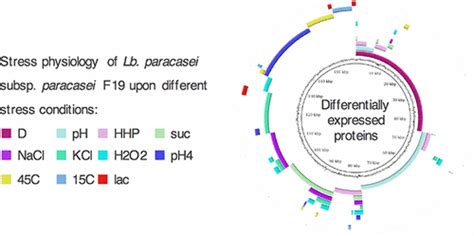 Quantitative Proteomics For The Comprehensive Analysis Of Stress