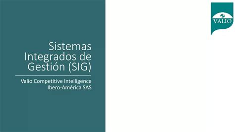 Sistemas Integrados De Gesti N Sig Ppt