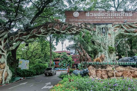 Chiang Mai Zoo Review Thailand