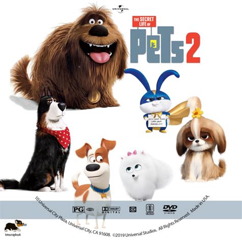 The Secret Life of Pets 2 (2019) R1 Custom DVD Label - DVDcover.Com