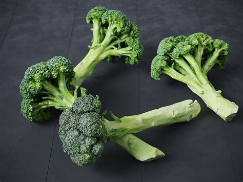 Broccoli Bunch 3d Model Cgtrader