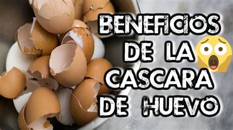 Beneficios De La C Scara De Huevo Beneficios De Los Cascarones De