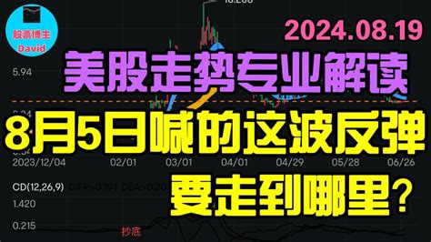 8月19日 美股技术走势解读。不要总是错过抄底机会，然后又后悔莫及 美股推荐2024 英伟达股票 特斯拉股票 苹果股票 美股解读