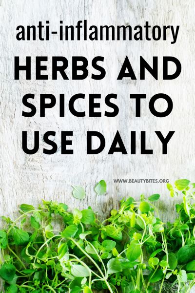 Anti Inflammatory Herbs And Spices For A Strong Healthy Body Beauty