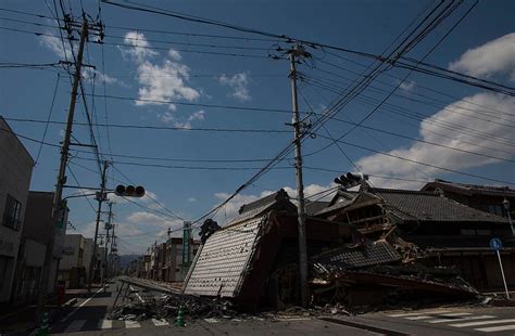 What Happened at the Fukushima Exclusion Zone?