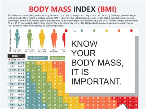 Body Mass Index Chart, Digital Download PDF, Height and Weight, Body ...