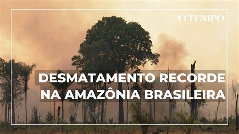 Desmatamento Da Amaz Nia Brasileira Bateu Recorde Do M S De Fevereiro