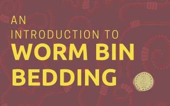 An Introduction To Worm Bin Bedding Composting With Red Worms