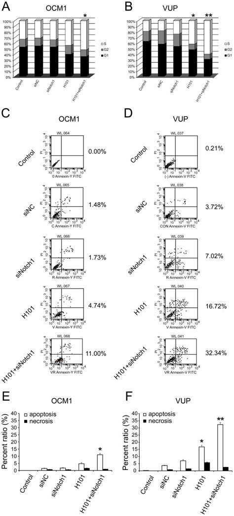 A And B Cell Cycle Distribution Of Ocm1 And Vup Cells Following