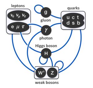 Elementary_particle_interactions_in_the_Standard_Model | Universe of ...