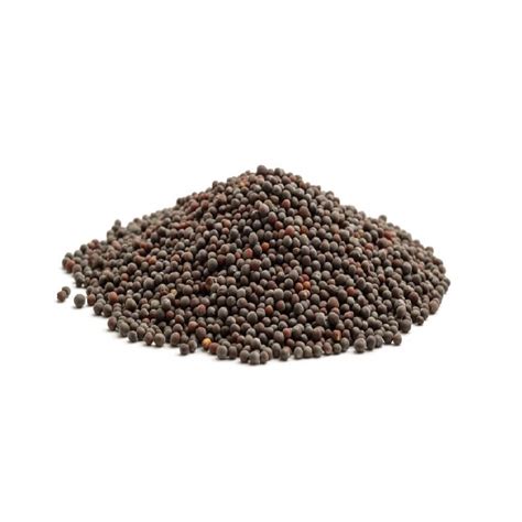 Mustard Seeds Biji Sawi Kadugu Imported From India Shopee Malaysia