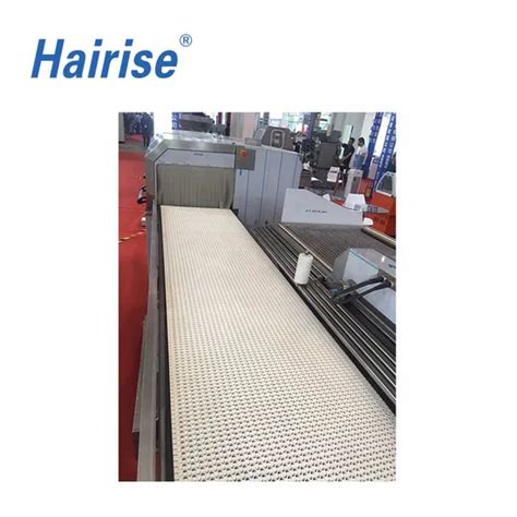 Hairise High Production Efficiency Straight Modular Belt Conveyor Wtih