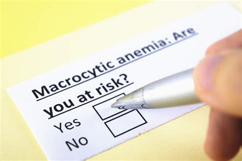 The Macrocytic anemia symptoms | etransplus.com