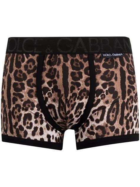 Dolce And Gabbana Leopard Print Boxer Trunks Farfetch