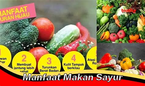 Masih Nggak Mau Makan Sayur Inilah Segudang Manfaat Sayuran Hijau