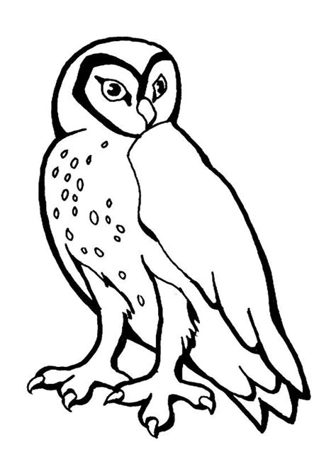 Coloriage Hibou Sur Hugolescargot