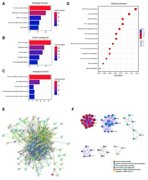 Results Of Network Pharmacological Analysis A Biological Process Of Download Scientific