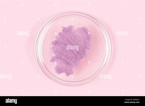 Sugar Body Scrub Smear Texture Purple Scrub Smudge In Petri Glass Dish