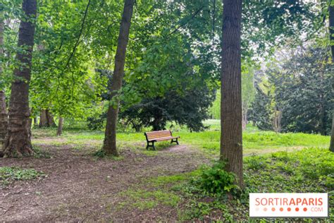 Le parc de Bois Préau une forêt dans la ville à Rueil Malmaison 92