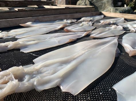 甘くてやわらか〜い★ヤリイカの一夜干し(2枚)：千葉県産のその他魚｜食べチョク｜産地直送(産直)お取り寄せ通販 - 農家・漁師から旬の食材を直送