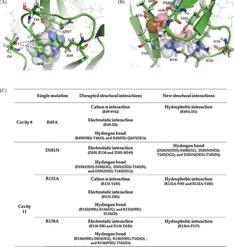 Single Mutations Of The Charged Residues Resulting In A Deleterious