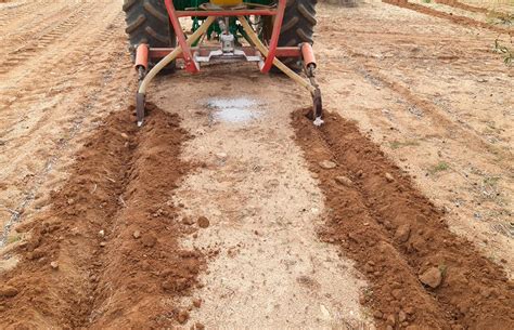 Los Agricultores Y Ganaderos Espa Oles Percibir N Desde La Pr Xima