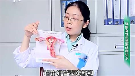 女性生殖器官原来是这样的，一分钟了解女性身体秘密！腾讯视频