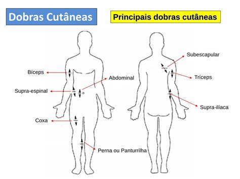 Pdf Aula Perimetria Dobras Cut Neas E Protocolos Perimetria Do