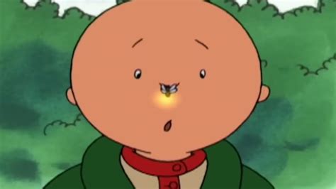 Kajtuś jedzie na Kemping Kajtuś po Polsku Caillou WildBrain YouTube