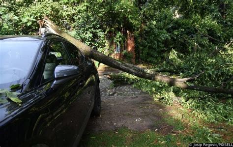 Oluja U Zagrebu Stablo Palo Na Hitni Prijem Svetog Duha SEEbiz Eu