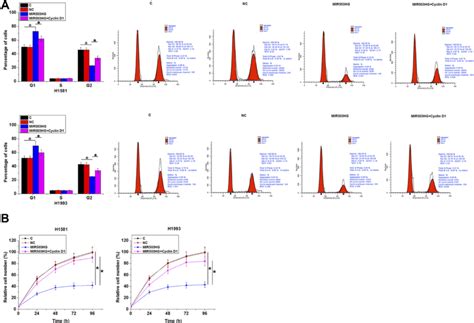 Mir Hg Inhibits Nsclc Cell Proliferation Through Cyclin D Comparing