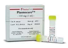 Plasmocin Treatment Application: Mycoplasma Removal at Best Price in ...