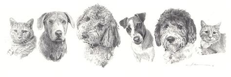 Mike Theuer Pet Portraits Gallery Sample Pet Drawings And Paintings