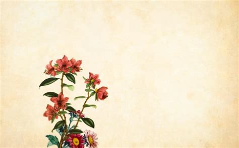 Free Flower Background Clipart | Best Flower Site