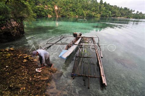 POTENSI WISATA BAHARI BANGGAI KEPULAUAN | ANTARA Foto