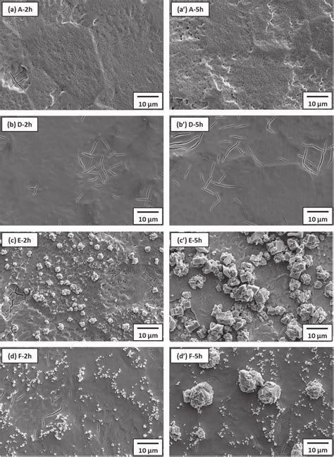 Surface Morphologies Of The Iro Ta O Ti Anodes After